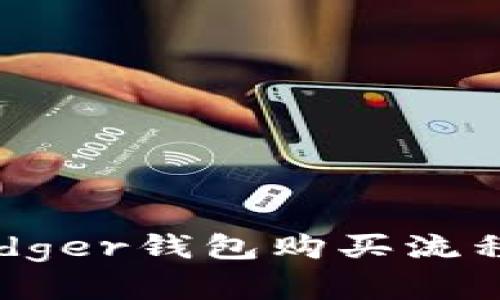 详细解读Ledger钱包购买流程与使用指南