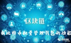 全面解析比特币批量管理钱包的功能与应用