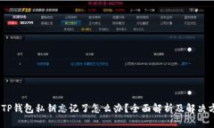 # TP钱包私钥忘记了怎么办？全面解析及解决方案