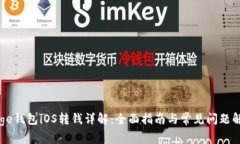 Doge钱包iOS转钱详解：全面指南与常见问题解答