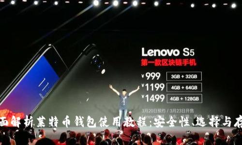 全面解析莱特币钱包使用教程：安全性、选择与存储