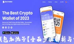 如何使用TP钱包加池子？全面步骤解析与常见问题