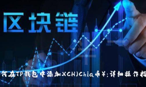 如何在TP钱包中添加XCH（Chia币）：详细操作指南