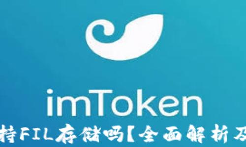 
TP钱包支持FIL存储吗？全面解析及使用指南