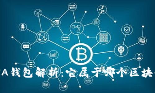 元界DNA钱包解析：它属于哪个区块链网络？