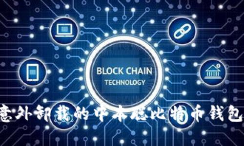 如何找回意外卸载的中本聪比特币钱包：全面指南