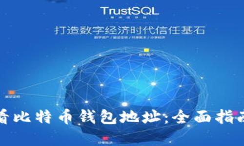 如何安全查看比特币钱包地址：全面指南与实用建议