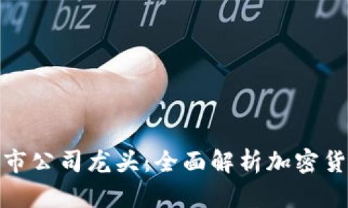 : 数字货币上市公司龙头：全面解析加密货币产业领军者