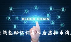 如何解决钱包助记词导入后虚拟币消失的问题