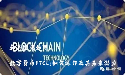 和关键词如下：

数字货币PTCL：如何运作及其未来潜力