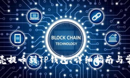 如何将蓝贝壳提币到TP钱包：详细指南与常见问题解析