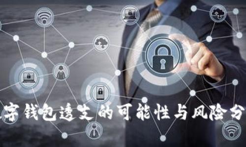 数字钱包透支的可能性与风险分析