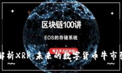 详细解析XRP：未来的数字货币牛市引领者