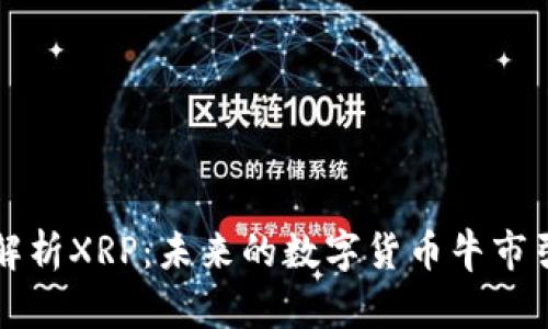 详细解析XRP：未来的数字货币牛市引领者