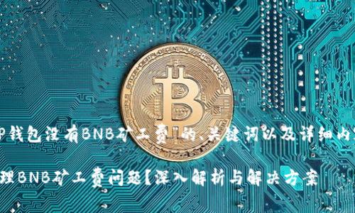 下面是关于“TP钱包没有BNB矿工费”的、关键词以及详细内容的结构建议。

TP钱包如何处理BNB矿工费问题？深入解析与解决方案