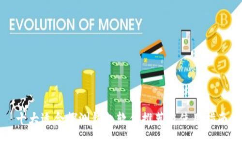 十大适合探测钱包软件推荐及使用指南