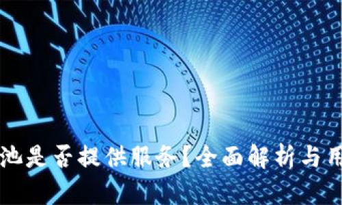 蚂蚁矿池是否提供服务？全面解析与用户指南